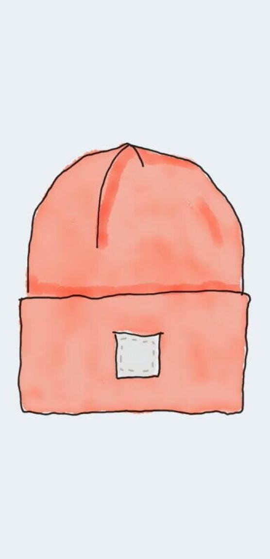 beanie-2-1.jpg